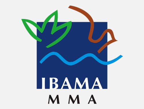 Ibama – Rapp (Relatório Anual de Atividades Potencialmente Poluidoras e utilizadoras de recursos Ambientais)